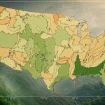 Global Canopy Height Mapping