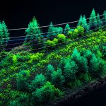 NV5 LiDAR-Based Utility Vegetation Management and AR Risk Mapping
